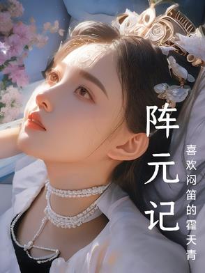 阵元记阵元记
